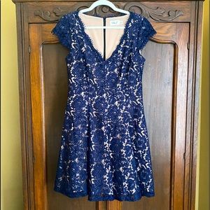 Eliza J Lace Navy & Nude Dress